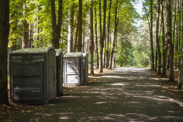 Best Luxury portable toilet rental  in Duncanville, TX